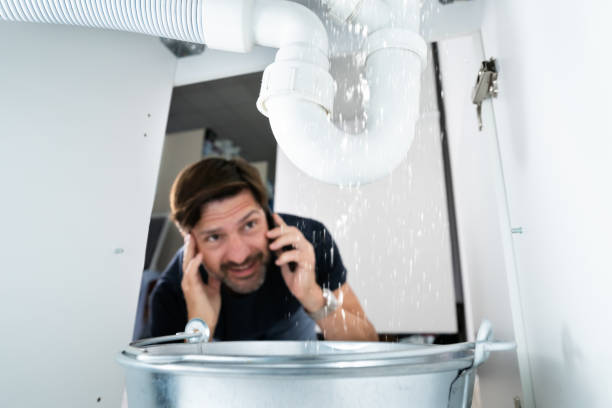Best Affordable Plumbing Services  in Woodhaven, MI